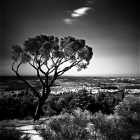 Castel Del Monte