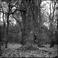 Self portrait with a tree