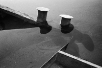 ship cemetery piles